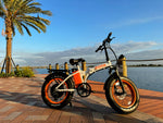 Zota Zephyr E-bike